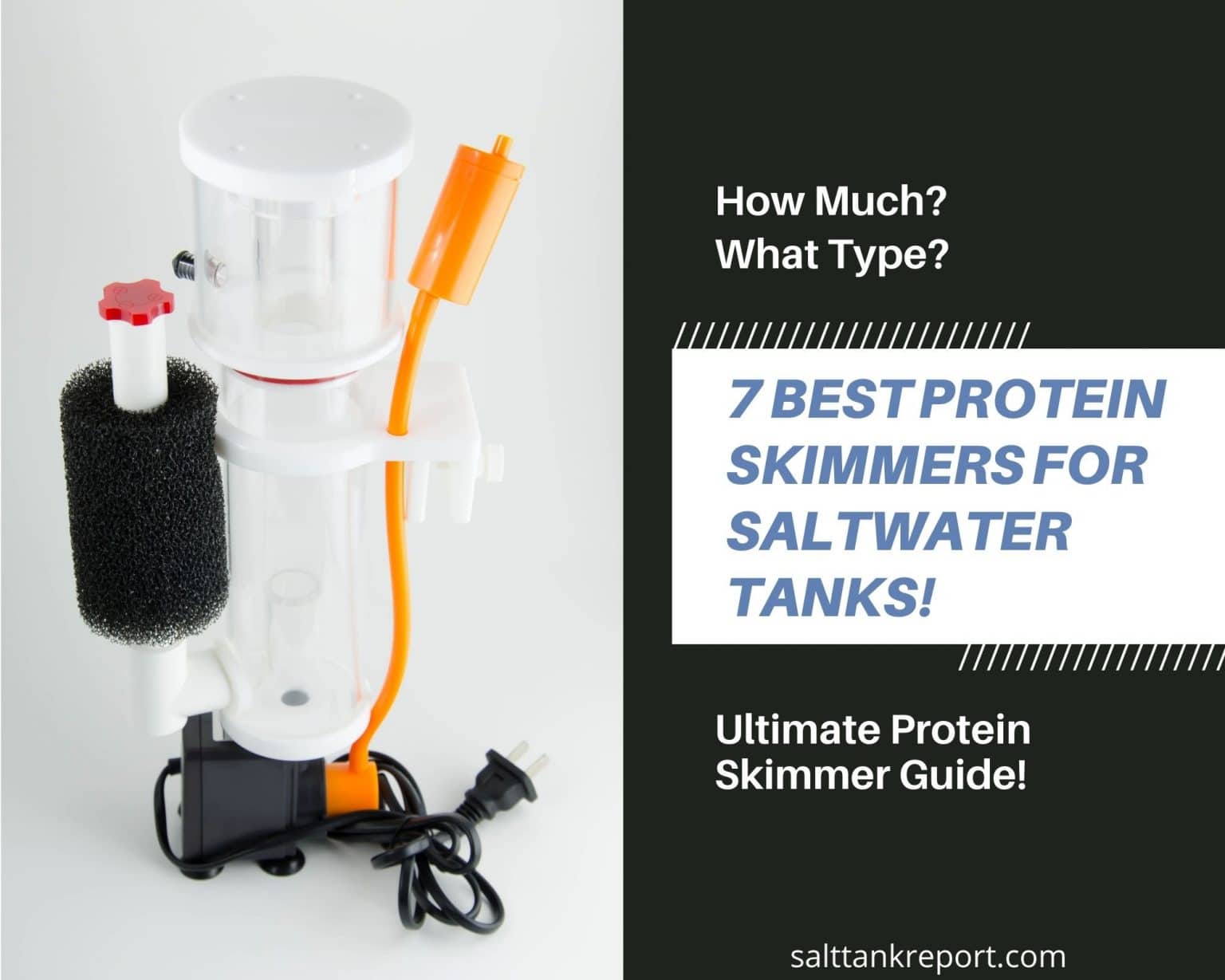 7 Best Protein Skimmers For Saltwater Tanks (New For 2021) – Salt Tank ...