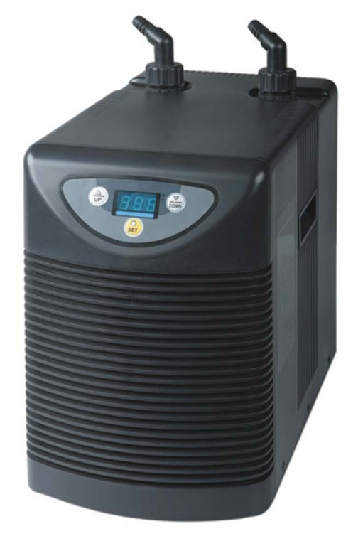 Saltwater Aquarium Chiller Guide Salt Tank Report