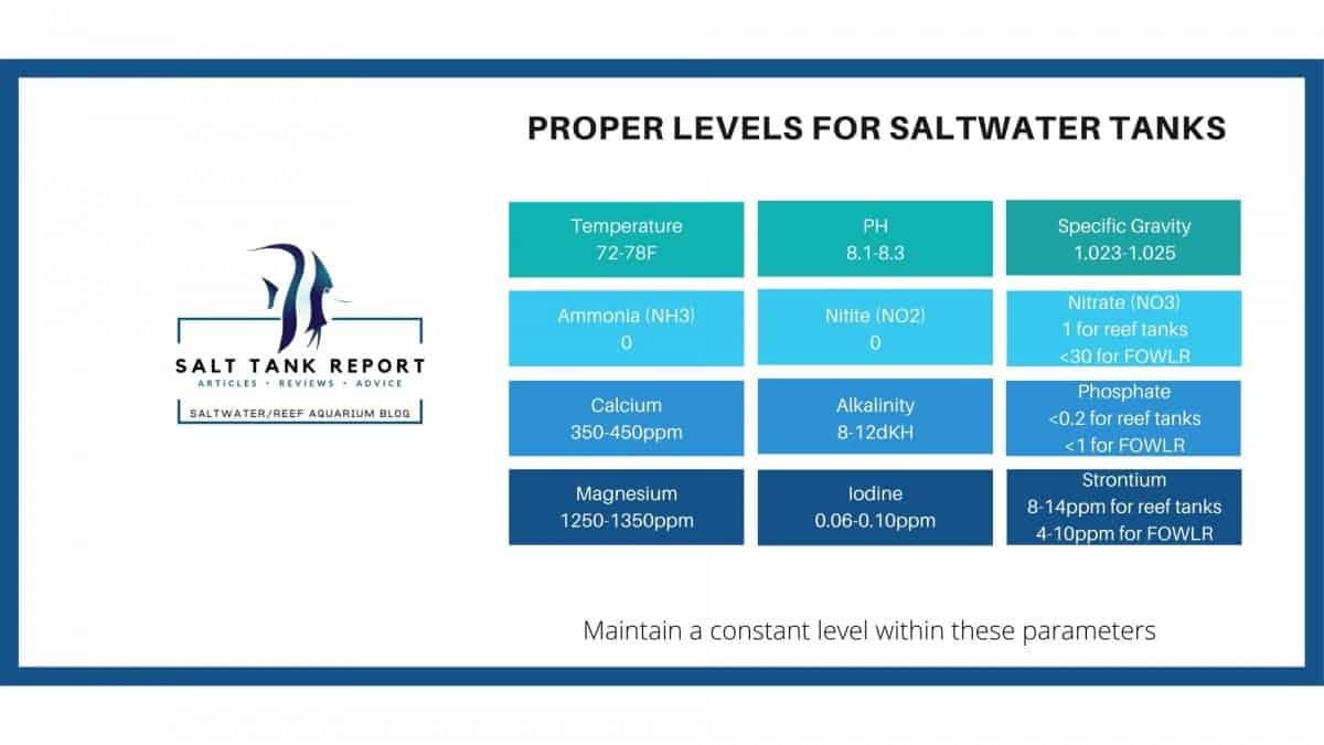 Water Parameters Chart Salt Tank Report