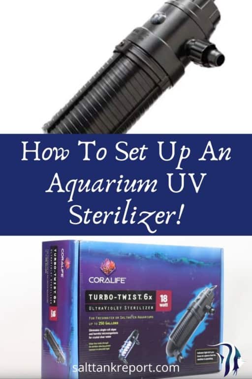 How To Set Up An Aquarium UV Sterilizer 11 Steps To Success Salt