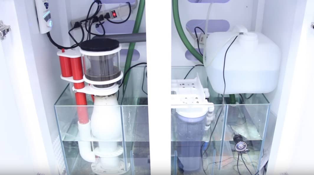 In Sump Protein Skimmer Set Up Guide 10 Steps To Success Salt Tank