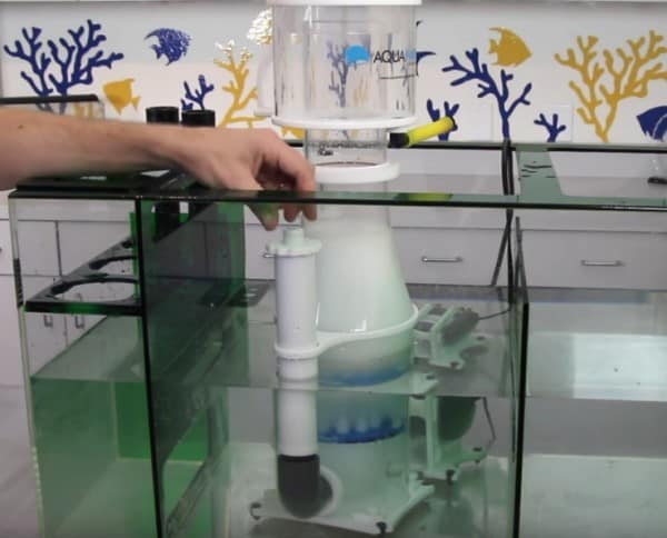 Picture of In Sump Protein Skimmer Set up Guide – 10 Steps To Success – Salt Tank ...