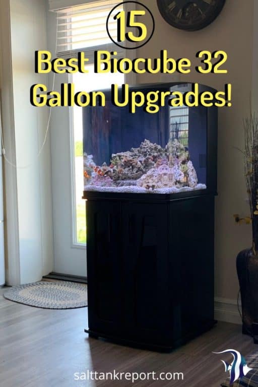 15 Best Biocube 32 Upgrades Turn Your Coralife Tank Into A Beast