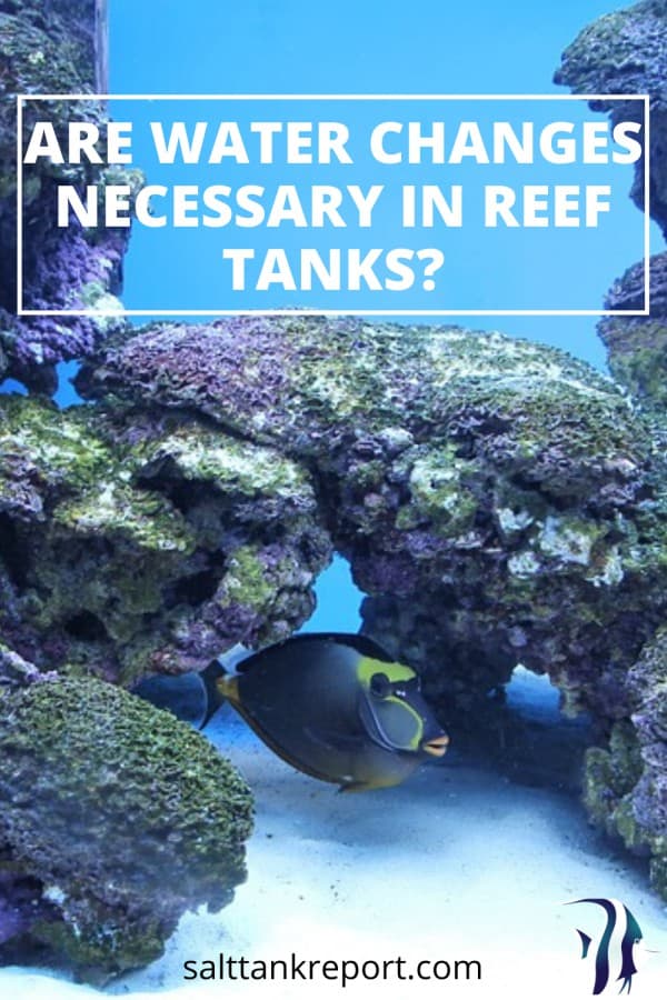 Are Water Changes Necessary In Reef Tanks? – Salt Tank Report - Regular Water Changes For Saltwater Reef Tanks