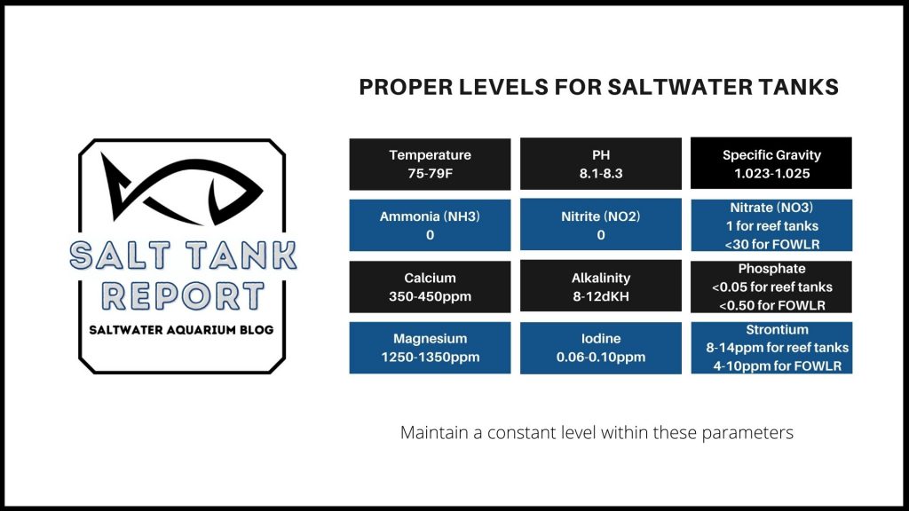 How To Lower Phosphates In Reef Tanks (4 Best Methods) Salt Tank Report