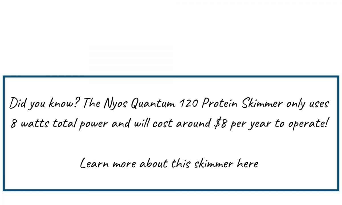 Protein Skimmer Not Foaming Properly? (6 Reasons Why) Salt Tank Report