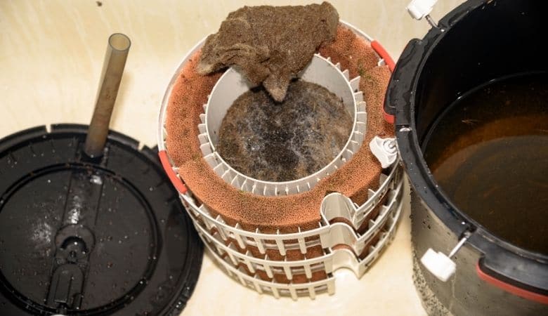 View of Are Canister Filters Good For Saltwater Tanks? – Salt Tank Report